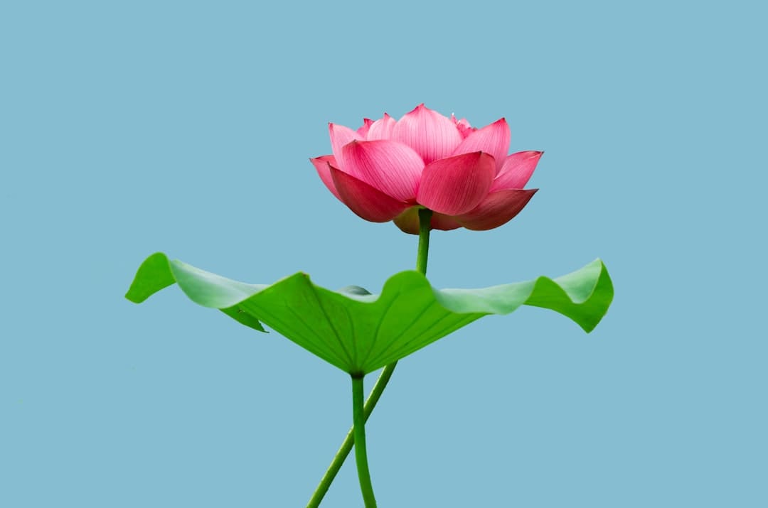 《一同探爱情》定档五一,全民观察员侦破浪漫暗码